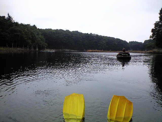 CA390088001.JPG