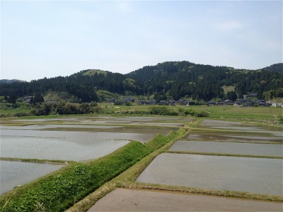 のどかな里山