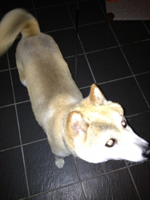 ツルっとしてる