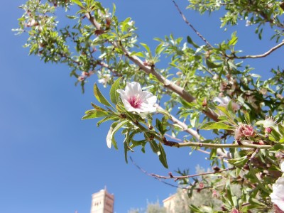 CIMG2458